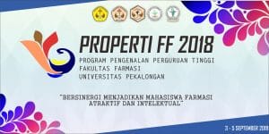 MMT FF